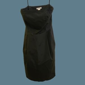 Ann Taylor Strapless 100% Silk Cocktail Dress